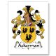 Ackerman CoA