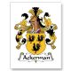 Ackerman CoA