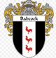 Babcock CoA